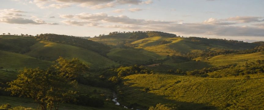 Cercado pela natureza